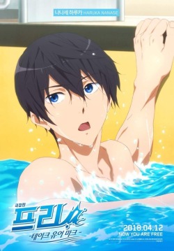 ianime0: Free! -TakeYour Marks- | Special Poster