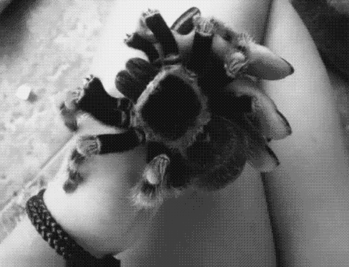 Awwww :3