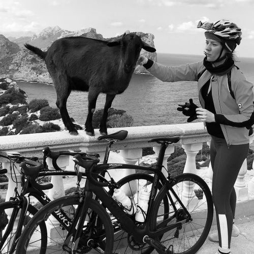 bikes-bridges-beer: This cutie said HI at cap formentor #roadtrippinmallorca ift.tt/1TZp0p7