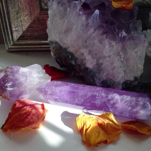 lavenderwaterwitch: amethyst and rose petals ||