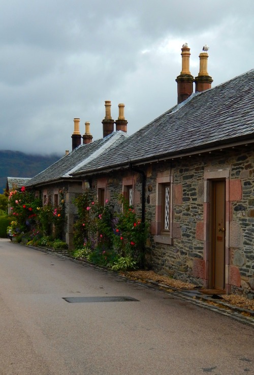 fuckitandmovetobritain:Great Britain [5]- Burford, Robin Hoods Bay, Conwy Castle, Luss, Isle Of Skye, Staithes, York, Branscombe, Corfe Castle, Ely good lord i need all of this