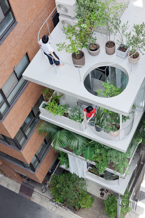 dezeen: Garden and House by Ryue Nishizawa This Tokyo five-storey townhouse by Japanese archite