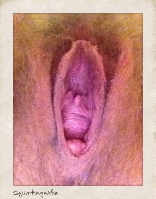 squirtingwife: Hairy wide open pussy day. Join in and show your open pussy!