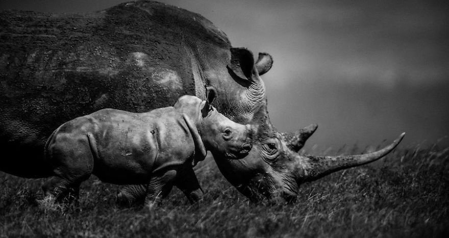 Laurent Baheux,