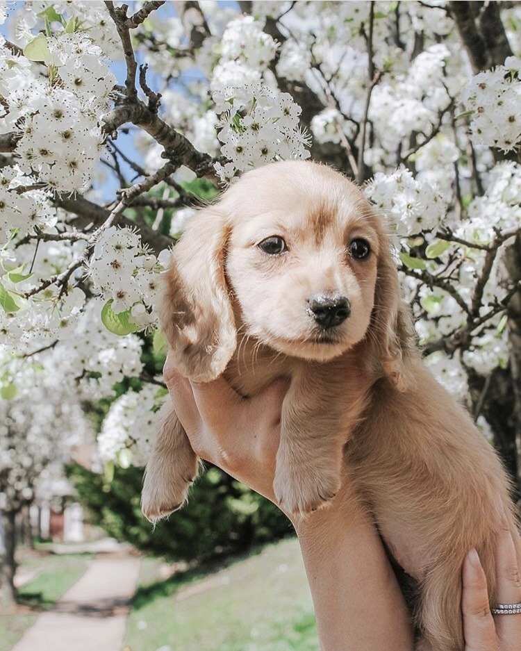friendly-animals:  (Source)
