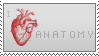 I heart anatomy stamp