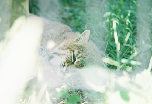 平川動物公園