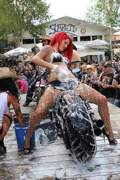 davidthedom68:  Biker babes