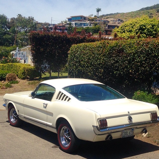 66fairlane428scj:  65 #ford #mustang #cars #lagunabeach #california #thenry3