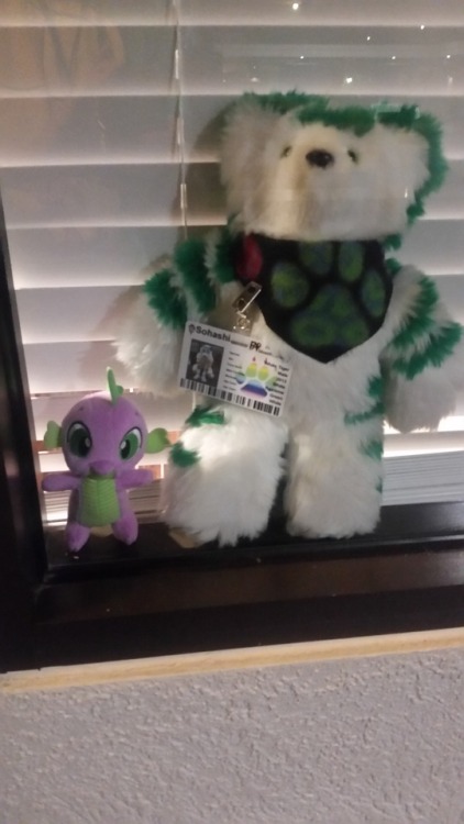 Sohashi Jr. and Spike have made it to the hotel room at the Anime Nebraskon in Omaha, NE.