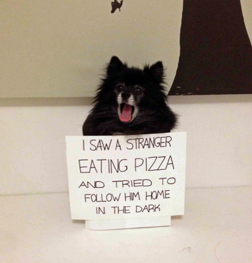 tastefullyoffensive:Lyla has her priorities straight. (photo by madelinejo206)