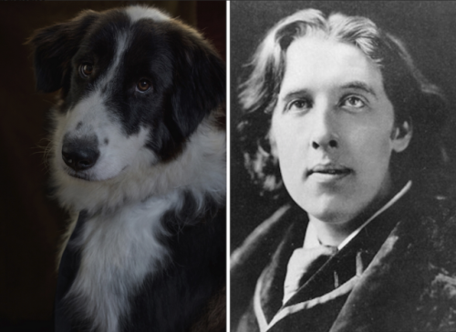 ipoenoticias: iclassicscollection:      Photographer Dan Bannino juxtaposes photographs of dogs that resemble famous writers. His project, which is called #POETICDOG, aims to draw attention to the needs of abandoned dogs in shelters, and to help raise