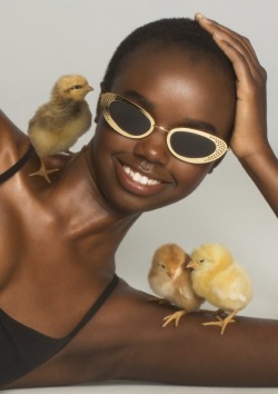 mademoiselleclipon: Animal Optics  / Christine Hahn  