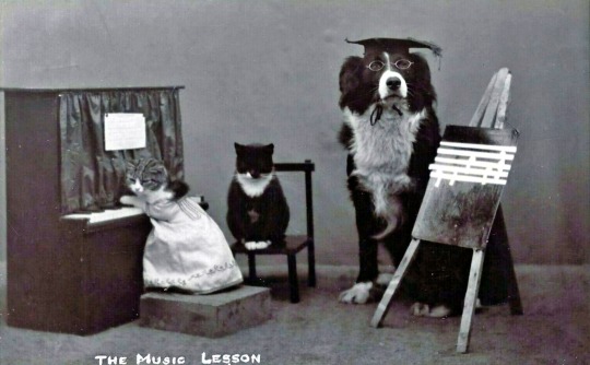 La leçon de musique, 1911.