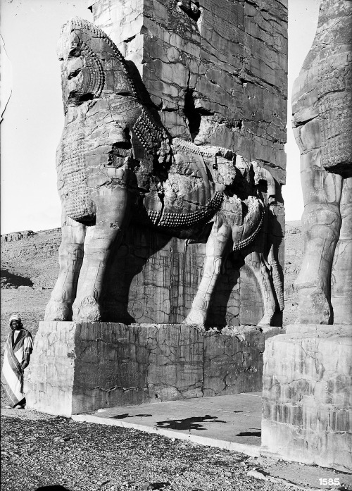 “Excavation of Persepolis (Iran): Gate of All Lands, Colossal Sculpture Depicting a Bull: View befor