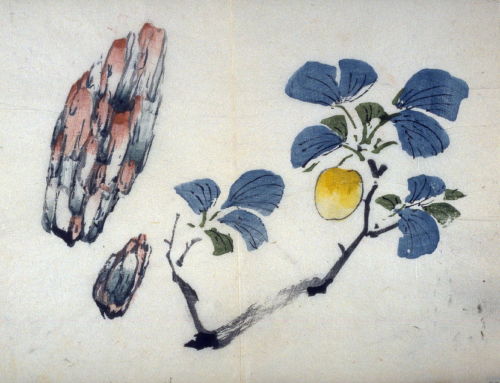 Kao Yu, illustrations from the Volume on Fruit - The Treatise on Calligraphy and Painting of the Ten