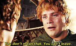 thorinds:  It is time Frodo.  