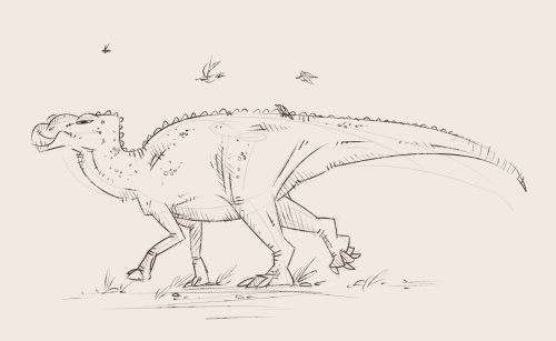 A selection of very quick sketches I didn’t post to tumblr, rhamphorhynchus, asteriornis, decc