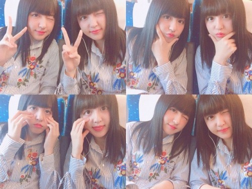 sarashi-misemonogoya:  りかりこ