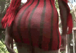 Reblog My Shit