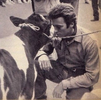 I'm Thinking About. Eastwood Holding Small Animals..........