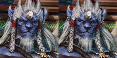 amandablogsthings:  Final Fantasy X : Catnip 