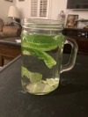 doorstoplord:RECIPE!! Hot Leaf Juice from Avatar the Last Airbender!!1. Put leaf in cup2. Hot water on topFor an extra snack, eat the leaves when the drink is gone!!