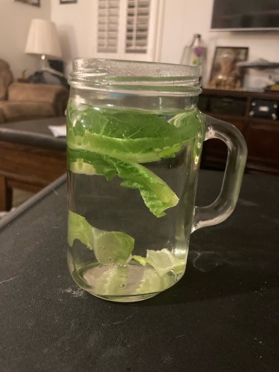 doorstoplord:RECIPE!! Hot Leaf Juice from Avatar the Last Airbender!!1. Put leaf in cup2. Hot water on topFor an extra snack, eat the leaves when the drink is gone!!