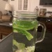 doorstoplord:RECIPE!! Hot Leaf Juice from Avatar the Last Airbender!!1. Put leaf in cup2. Hot water on topFor an extra snack, eat the leaves when the drink is gone!!