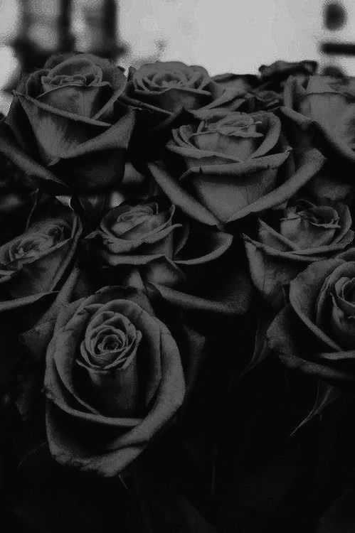 Memories never die.