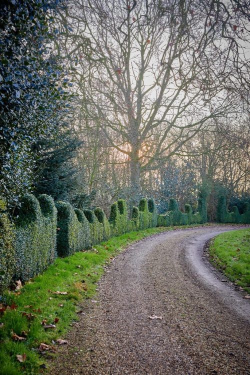 Michael & Janey Hill’s Topiary,Cressy Hall, Gosberton, Spalding, Lincolnshire, United King