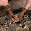 paisa-gaadi-mehenga-ghar
