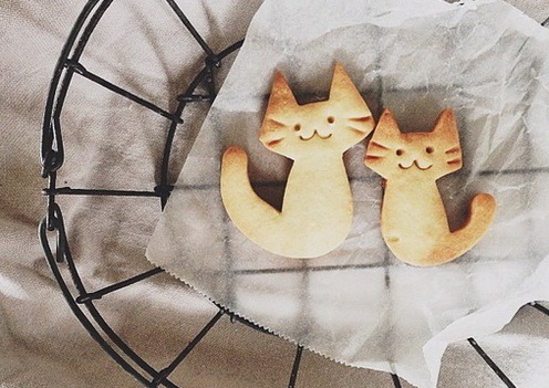 algoll:  elvie | via Tumblr: We Heart It