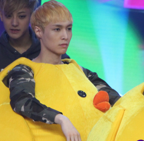 yu-gi-oh-sehun:  u have not witnessed true sadness until u have seen the face of a grown man forced to wear a giant chick costume regret. despair. dishonor.                      