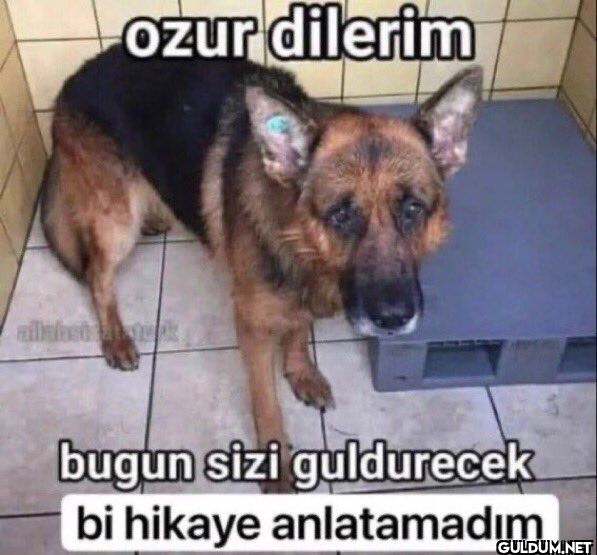 ozur dilerim bugun sizi...