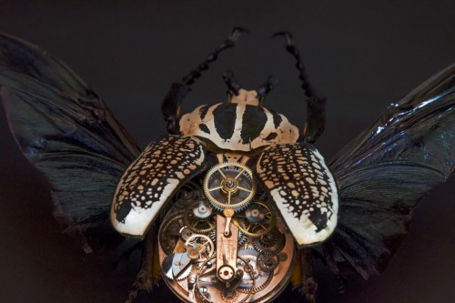 Sex asylum-art:  Intricate Steampunk Insects pictures