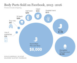 strangebiology: strangebiology: Prices of