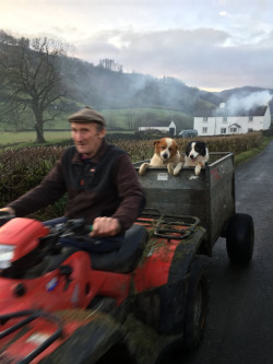 doggos-with-jobs:The winning picture of the Kennel Clubs Dog Photographer of the Year competition in the category ‘Dogs at Work’