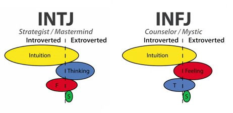 What is an INTJ and INFJ? I know that it has to do with my