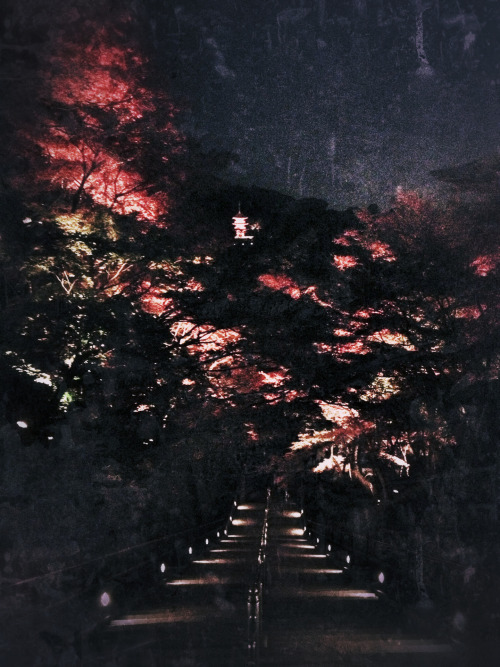 neutrinogalaxy:  Autumn in Kyoto. Kiyomizu Temple. 