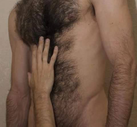 Wild-4-Hairy