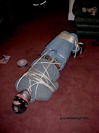 suited and bound