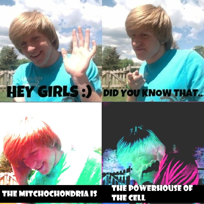 sft425:  justjames: GIRLS LISTEN UP @anaisalicious