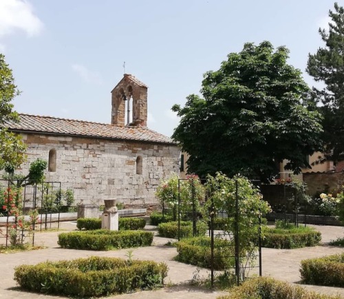 The rose garden in the #hortaleonini #Tuscany #sanquiricodorcia #toscana #travel #travelgram #instat