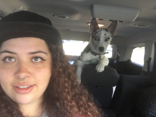 Road Trip With The Trouble Maker