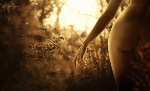 bearded-architect: Elena Vizerskaya photography