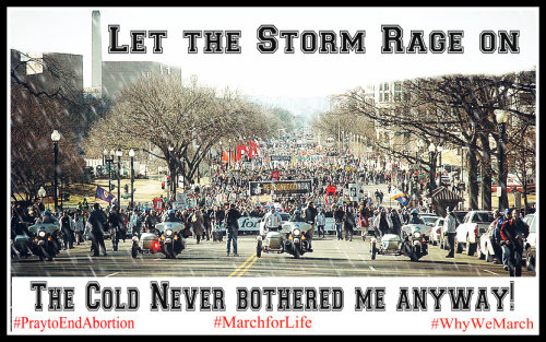 LET THE STORM RAGE ON! Join the STORM at 1pm EST #PraytoEndAbortion #marchforlife #whywemarch REBLOG