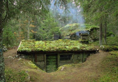 voiceofnature: In the early 1800s a man named Little Jon lived in this so called earth cabin (swe. &