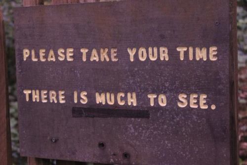 hitrecord:ChaneleyWelly took this photo of a sign at the Yosemite National Park. CONTRIBUTE HERE to 