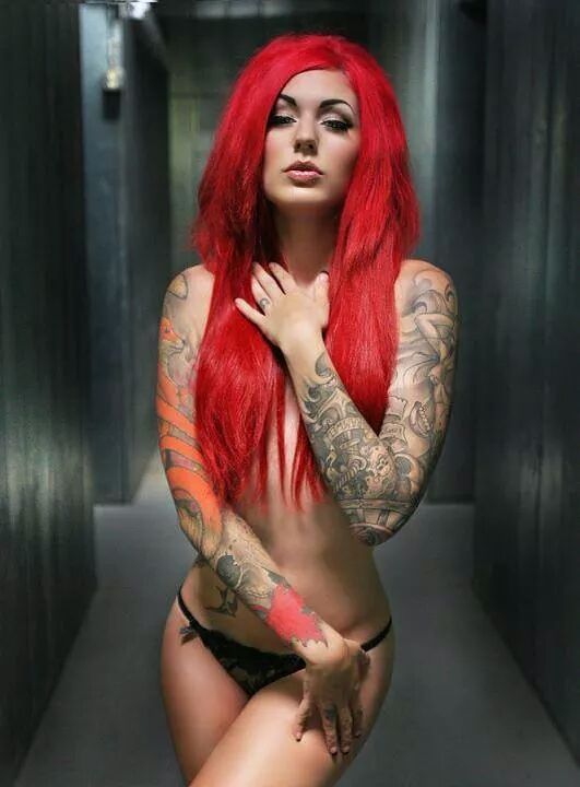  Cervena Fox 